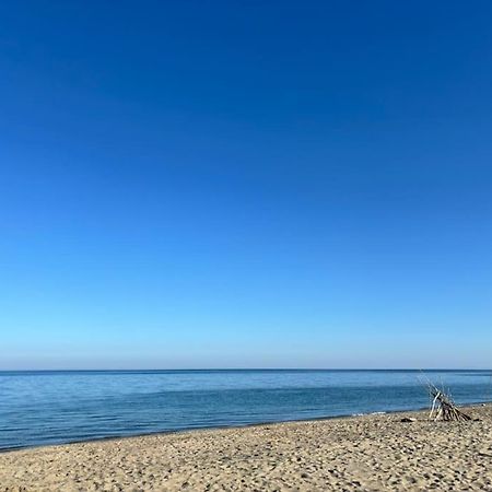 Appartement Bord De Mer Le Barcares Ngoại thất bức ảnh