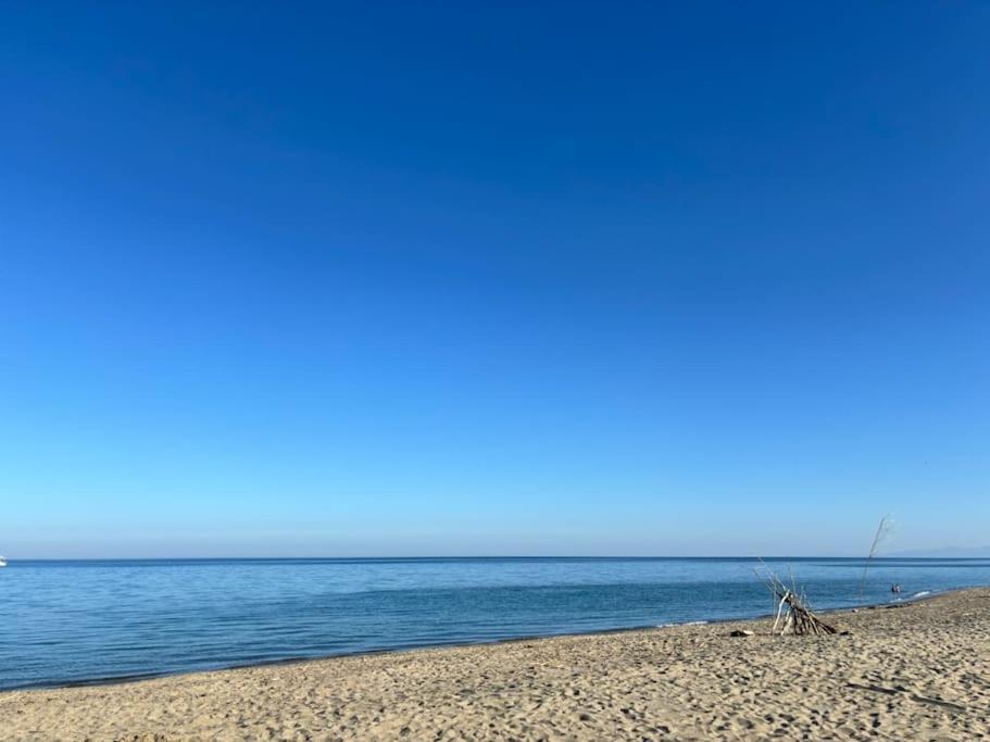 Appartement Bord De Mer Le Barcares Ngoại thất bức ảnh